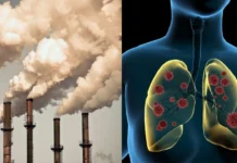 क्या बढ़ता प्रदूषण डायबिटीज मरीजों के लिए भी खतरनाक? एक्सपर्ट्स ने बताया इसका असर और बचाव के तरीके क्या बढ़ता प्रदूषण डायबिटीज मरीजों के लिए भी खतरनाक? एक्सपर्ट्स ने बताया इसका असर और बचाव के तरीके