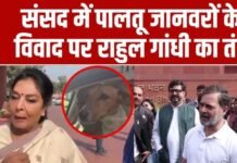 आज डॉग मेन टॉपिक है…” संसद विवाद पर राहुल गांधी का तंज, बोले– देश में इससे बड़े मुद्दे हैं आज डॉग मेन टॉपिक है…" संसद विवाद पर राहुल गांधी का तंज, बोले– देश में इससे बड़े मुद्दे हैं