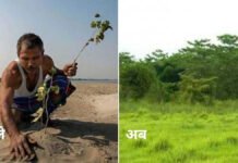 ‘फॉरेस्ट मैन ऑफ इंडिया’ जादव पायेंग के मोलाई जंगल में आगजनी, हजारों पौधे और छोटे जीव जले ‘फॉरेस्ट मैन ऑफ इंडिया’ जादव पायेंग के मोलाई जंगल में आगजनी, हजारों पौधे और छोटे जीव जले