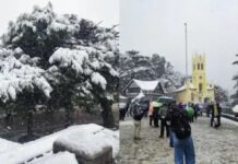 शिमला में लगातार चौथे साल फीकी सर्दी, क्रिसमस पर बर्फबारी के आसार नहीं शिमला में लगातार चौथे साल फीकी सर्दी, क्रिसमस पर बर्फबारी के आसार नहीं