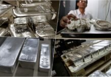 दिवाली के बाद चांदी ने मचाया धमाल, 1 किलो पर रिकॉर्ड कमाई; रिटर्न में गोल्ड भी पड़ा पीछे दिवाली के बाद चांदी ने मचाया धमाल, 1 किलो पर रिकॉर्ड कमाई; रिटर्न में गोल्ड भी पड़ा पीछे
