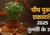 Pausha Putrada Ekadashi 2025: पौष पुत्रदा एकादशी पर तुलसी के पास कब जलाएं दीपक? जानें शुभ समय और पूजा के नियम