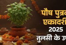 Pausha Putrada Ekadashi 2025: पौष पुत्रदा एकादशी पर तुलसी के पास कब जलाएं दीपक? जानें शुभ समय और पूजा के नियम