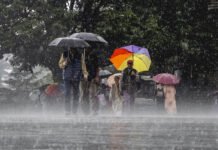 पंजाब सहित कई राज्यों में बारिश का अलर्ट, दिल्ली-यूपी में बदलेगा मौसम का मिजाज; तेज हवाओं और ओलावृष्टि की चेतावनी