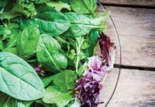 पालक, मेथी, बथुआ… 2 दिन तक फ्रेश रखने का आसान तरीका