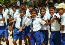 चंडीगढ़ के स्कूलों में खत्म हुई सर्दी की छुट्टियां, 19 जनवरी से खुलेंगे स्कूल; शिक्षा विभाग ने जारी की नई टाइमिंग