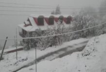 नए साल की शुरुआत मौसम के तीखे तेवरों के साथ: मुंबई में मूसलाधार बारिश, पहाड़ों पर बर्फबारी और दिल्ली में कड़ाके की ठंड