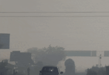 चंडीगढ़ में घना कोहरा, ठंडी हवाओं से बढ़ी ठिठुरन; जल्द राहत की संभावना नहीं