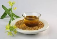Mustard Oil For Skin: सर्दियों में हाथ-पैर पर सरसों का तेल लगाते हैं? फायदे के साथ जान लें इसके नुकसान भी