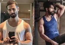 ओ रोमियो’ में शाहिद कपूर की रिकॉर्ड फीस, लीड हीरोइन और विलेन की कमाई देख चौंक जाएंगे फैंस