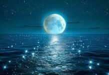 Full Moon Birth Astrology 2026: पूर्णिमा पर जन्म लेने वालों का जीवन कैसा होता है? जानिए किन राशियों पर रहती है चंद्रमा की विशेष कृपा