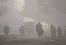 हरियाणा में कड़ाके की ठंड जारी: नारनौल सबसे ठंडा, इन जिलों में शीतलहर और कोल्ड-डे का येलो अलर्ट