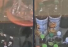 करियाना दुकान की आड़ में देसी शराब का अवैध कारोबार, पिता-पुत्र गिरफ्तार