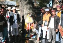 कमरू घाटी के गोत गांव से विधिपूर्वक महाशिवरात्रि के लिए बड़ा देव कमरूनाग ने किया प्रस्थान