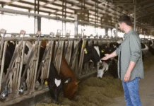 पशु मित्रों की शारीरिक परीक्षा का आधार पशु मित्र नीति, 2025