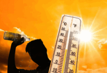 हरियाणा में बढ़ती गर्मी के संकेत, मार्च की शुरुआत में पारा 35 डिग्री तक जाने की संभावना