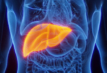 कम उम्र में बढ़ रहा फैटी लिवर: क्या आपकी थाली बन रही है बीमारी की वजह?