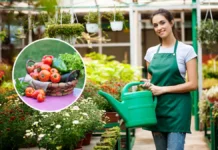 गर्मियों में इन सब्जियों के पौधे लगाना है सबसे बेहतर, जानें खाद-पानी और देखभाल का सही तरीका