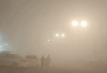 पंजाब में घना कोहरा छाया: दृश्यता 10 मीटर तक सिमटी, येलो अलर्ट जारी; जानें आगे का मौसम