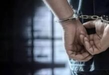 बिलासपुर: अवैध खैर तस्करी रोकने गई टीम पर वाहन चढ़ाने का प्रयास, तीन गिरफ्तार