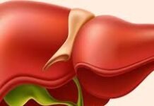 मोटापा सेहत के लिए बड़ा खतरा: दिल ही नहीं, लिवर और किडनी भी होते हैं प्रभावित, जानें पूरा विज्ञान