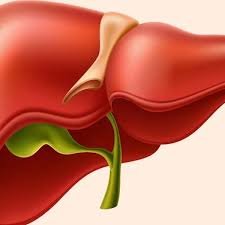 मोटापा सेहत के लिए बड़ा खतरा: दिल ही नहीं, लिवर और किडनी भी होते हैं प्रभावित, जानें पूरा विज्ञान