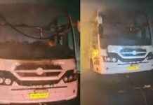 यमुना एक्सप्रेस-वे पर भीषण हादसा: स्लीपर बस से उतरकर खड़े यात्रियों को तेज रफ्तार कंटेनर ने कुचला, 6 की मौत