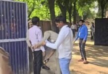 UPPSC LT Grade Teacher Result 2025: चार विषयों का प्रीलिम्स रिजल्ट जारी, 6,772 अभ्यर्थी मेन्स के लिए चयनित