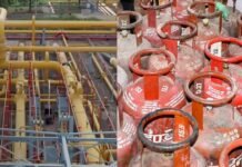 Haryana में बड़ा फैसला: PNG वाले घरों में अब नहीं चलेगा LPG सिलिंडर