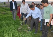 बागवानी को नई दिशा दे रही एचपी शिवा परियोजना : जगत सिंह नेगी
