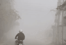 हरियाणा में मौसम का बदला मिजाज: बारिश के बाद घना कोहरा, दिसंबर जैसी ठंड; किसानों को राहत