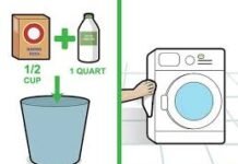 Washing Machine Clean: इन 2 आसान तरीकों से घर पर ही साफ करें वॉशिंग मशीन, मैकेनिक बुलाने की नहीं पड़ेगी जरूरत