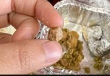 एयर इंडिया की फ्लाइट में लापरवाही का आरोप: जज को परोसे गए भोजन में फंगस मिलने से हंगामा