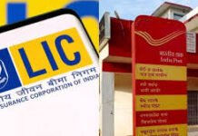 Life Insurance Corporation of India की सबसे अच्छी स्कीम कौन सी? जानिए कहां मिल सकता है बेहतर फायदा