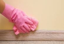 होली के रंग से गंदी हो गई हैं दीवारें? इन आसान तरीकों से करें मिनटों में साफ