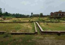 एचएसवीपी द्वारा विकास कार्य पूरे किए बिना प्लॉट की ई-नीलामी करना गंभीर चूक : हरियाणा राइट टू सर्विस कमीशन