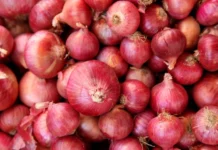 Health Tip: कच्चा प्याज हर किसी के लिए नहीं फायदेमंद, इन लोगों को तुरंत करना चाहिए परहेज