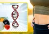 वेट कंट्रोल के लिए पॉपुलर DNA डाइट क्या है? जानें कैसे काम करती है और किन बातों का रखें ध्यान