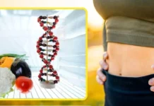 वेट कंट्रोल के लिए पॉपुलर DNA डाइट क्या है? जानें कैसे काम करती है और किन बातों का रखें ध्यान