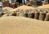हरियाणा की मंडियों में रबी फसल की सफलतापूर्वक खरीद जारी, मंडियों में अब तक लगभग 39.65 लाख मीट्रिक टन गेहूं की आवक