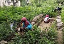 आरजीवीएसवाई के तहत 4,000 हेक्टेयर भूमि में पौधरोपण का लक्ष्य निर्धारित