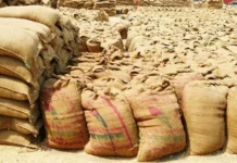 कुरुक्षेत्र मंडी में दर्दनाक हादसा: गेहूं की बोरियों के नीचे दबकर 27 वर्षीय महिला की मौ*त