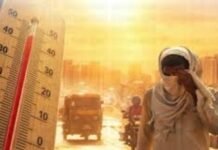 पंजाब में गर्मी का कहर: 5 दिन लू का अलर्ट, कई जिलों में 45°C तक पहुंचेगा तापमान