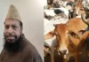 बकरीद से पहले मुस्लिम संगठन की अपील: “शांति और कानून सर्वोपरि, गाय की कुर्बानी से बचें”