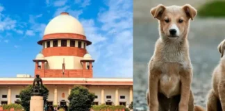 देशभर की नजरें सुप्रीम कोर्ट पर, आवारा कुत्तों के मुद्दे पर आज फैसला