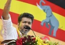 तमिलनाडु में “थलापति” की एंट्री: विजय ने बदली सियासत की दिशा