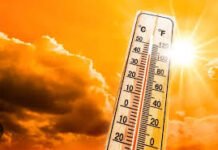 पंजाब में भीषण गर्मी का प्रकोप, बठिंडा में पारा 47 डिग्री पहुंचा, कई जिलों में लू का अलर्ट