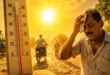 पंजाब में भीषण गर्मी का कहर, बठिंडा में पारा 46.6°C पहुंचा; 24 मई तक ऑरेंज अलर्ट जारी