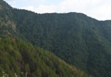 वन संरक्षण और विकास के लिए प्रतिबद्ध सुक्खू सरकार