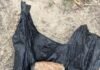TWO LINKED TO CROSS-BORDER TERROR MODULE HELD WITH TWO HAND GRENADES IN AMRITSAR
